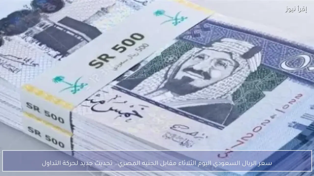 سعر الريال السعودي اليوم الثلاثاء مقابل الجنيه المصري.. تحديث جديد لحركة التداول