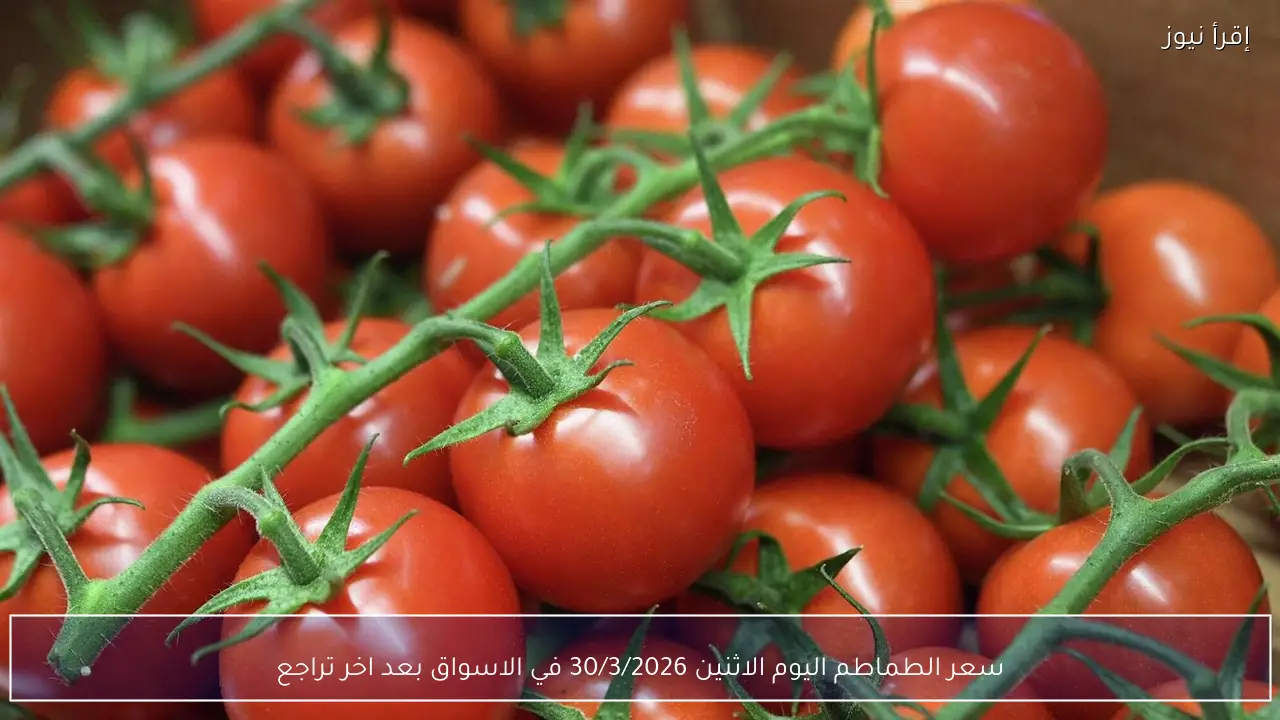 سعر الطماطم اليوم الاثنين 30/3/2026 في الاسواق بعد اخر تراجع