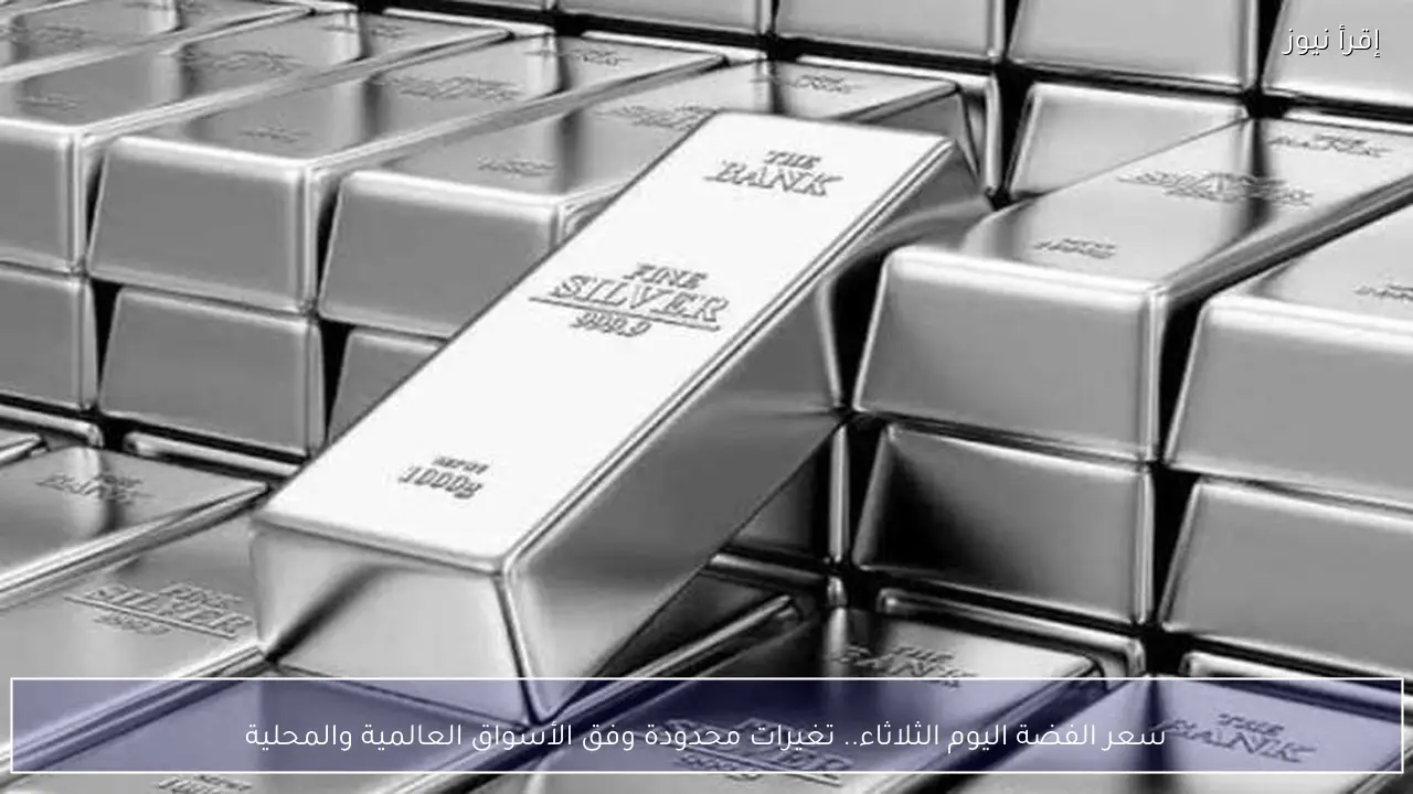 سعر الفضة اليوم الثلاثاء.. تغيرات محدودة وفق الأسواق العالمية والمحلية