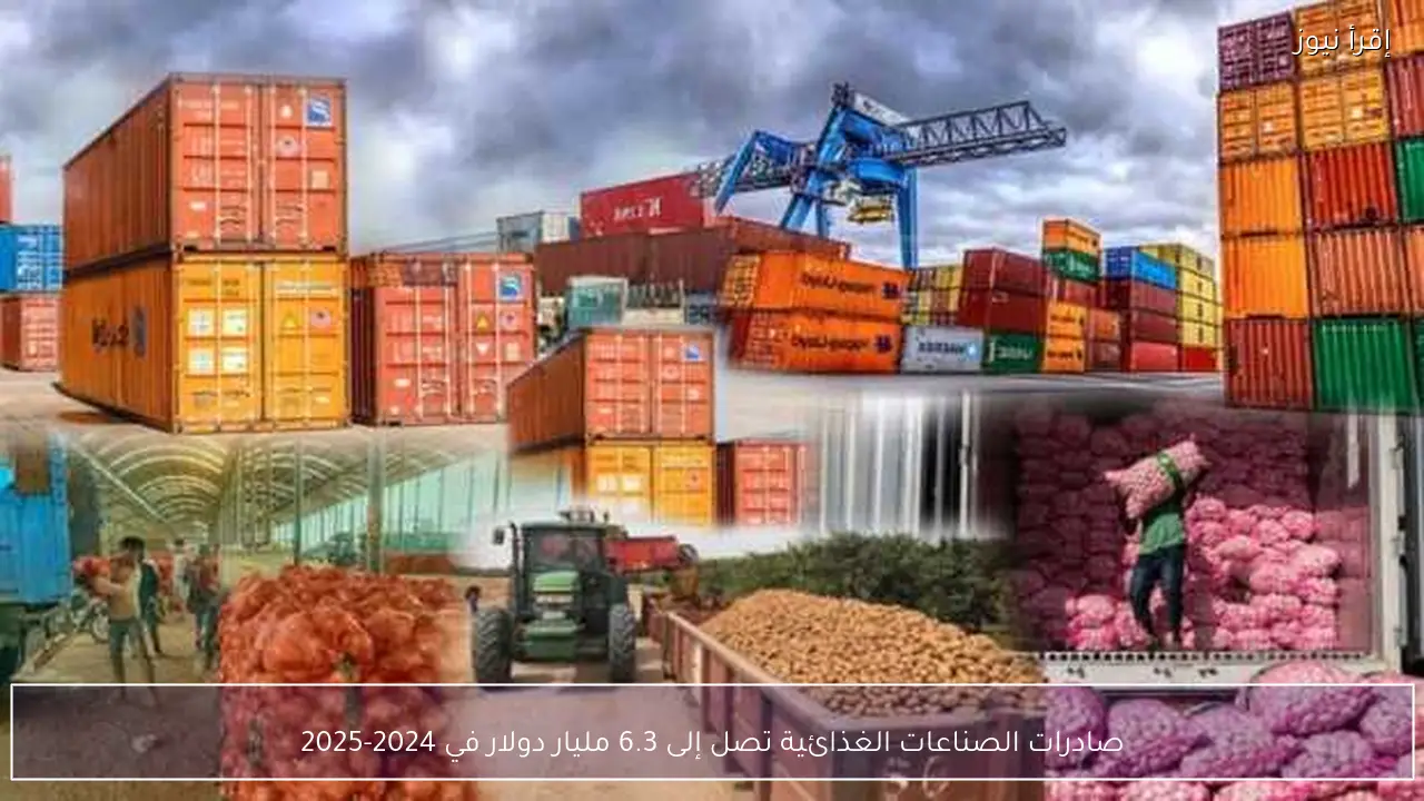 صادرات الصناعات الغذائية تصل إلى 6.3 مليار دولار في 2024-2025