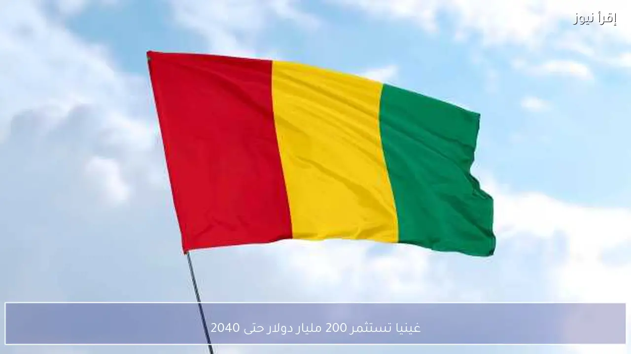 غينيا تستثمر 200 مليار دولار حتى 2040