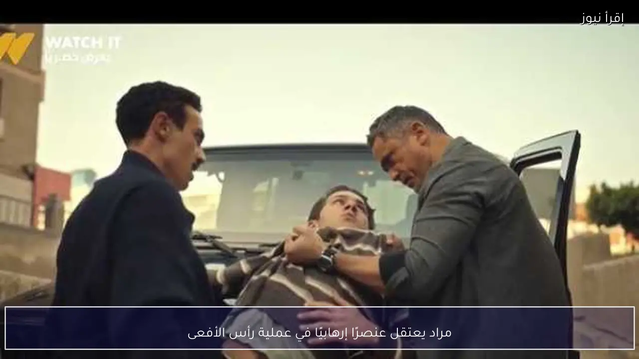 مراد يعتقل عنصرًا إرهابيًا في عملية رأس الأفعى