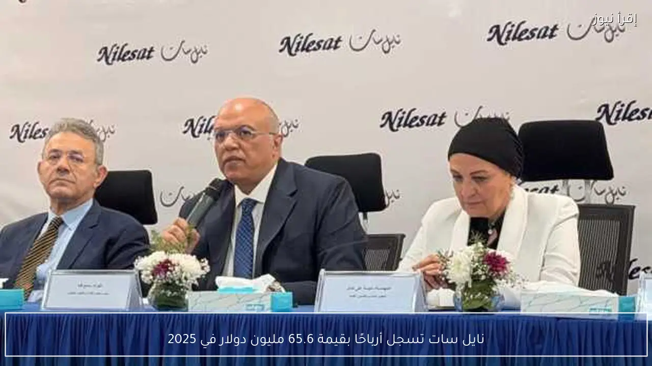 نايل سات تسجل أرباحًا بقيمة 65.6 مليون دولار في 2025