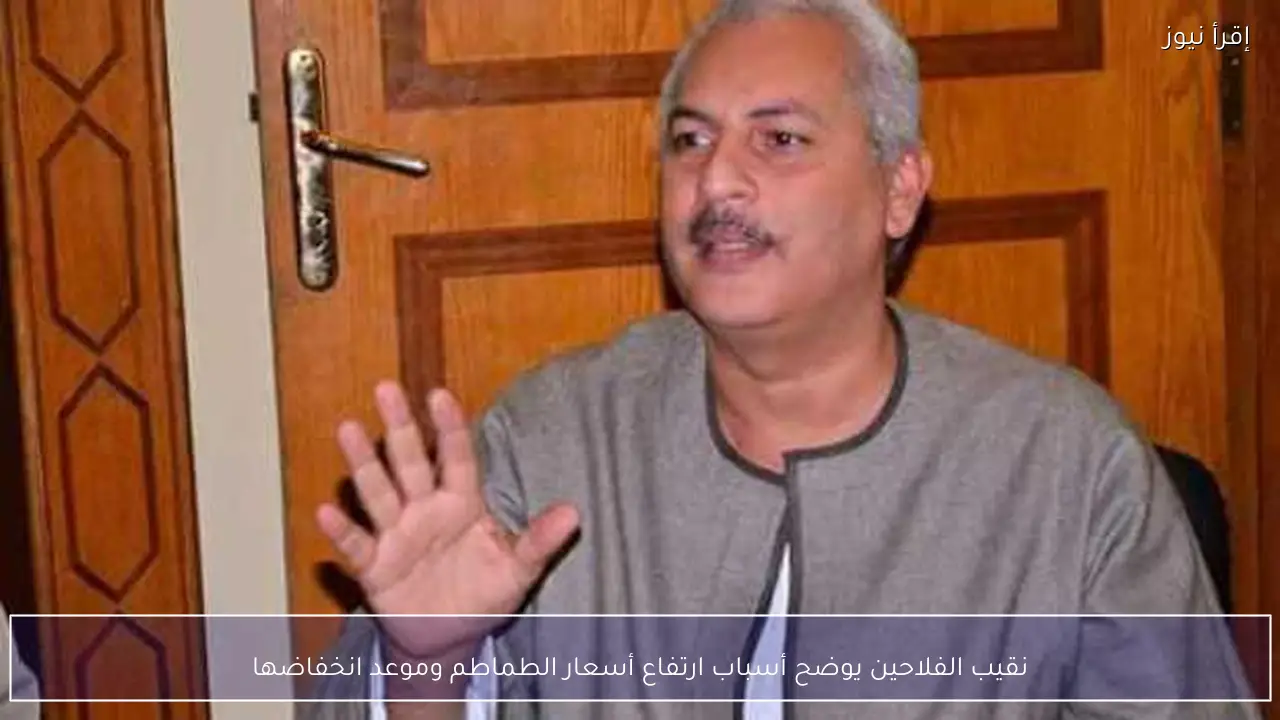 نقيب الفلاحين يوضح أسباب ارتفاع أسعار الطماطم وموعد انخفاضها