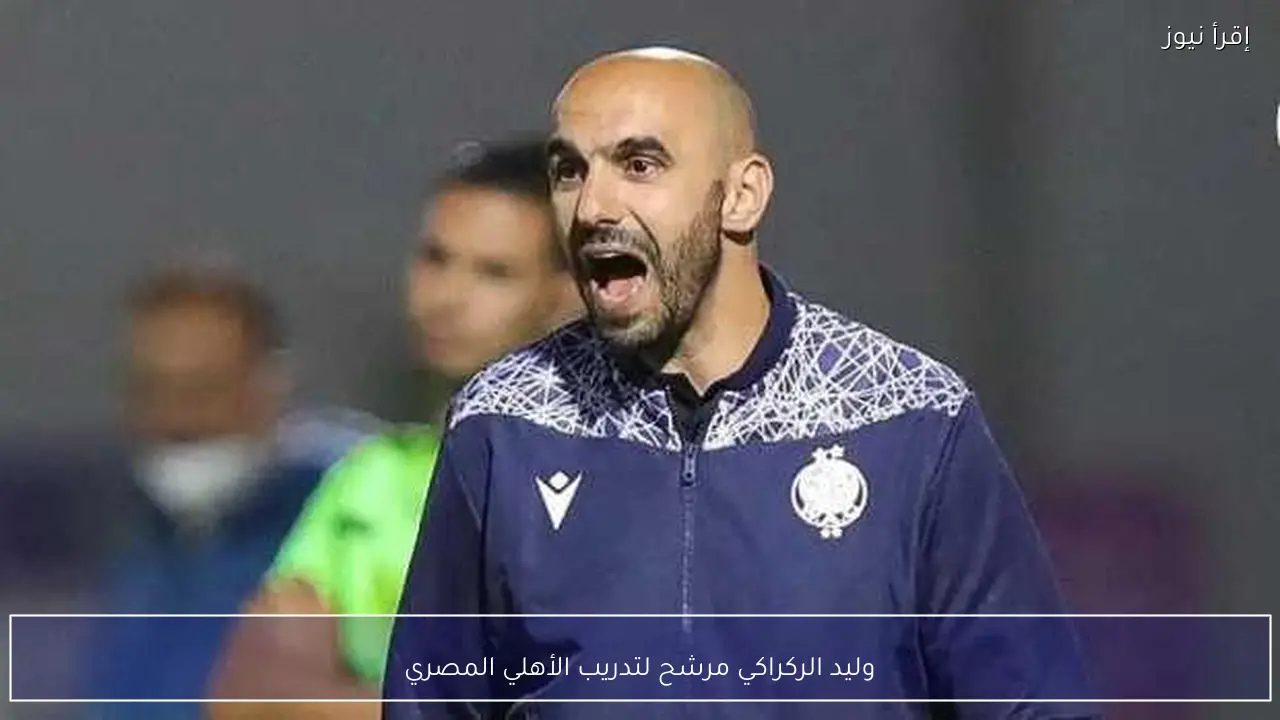 وليد الركراكي مرشح لتدريب الأهلي المصري