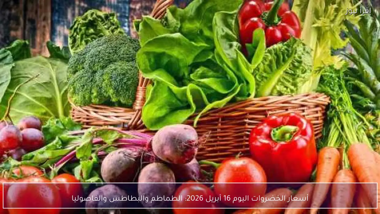أسعار الخضروات اليوم 16 أبريل 2026: الطماطم والبطاطس والفاصوليا