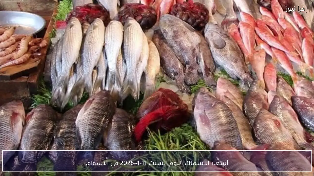 أسعار الأسماك اليوم السبت 11-4-2026 في الاسواق