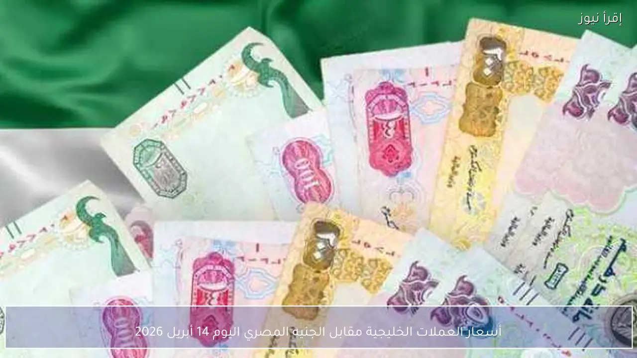 أسعار العملات الخليجية مقابل الجنيه المصري اليوم 14 أبريل 2026