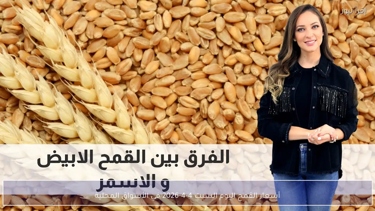 أسعار القمح اليوم السبت 4-4-2026 في الأسواق المحلية
