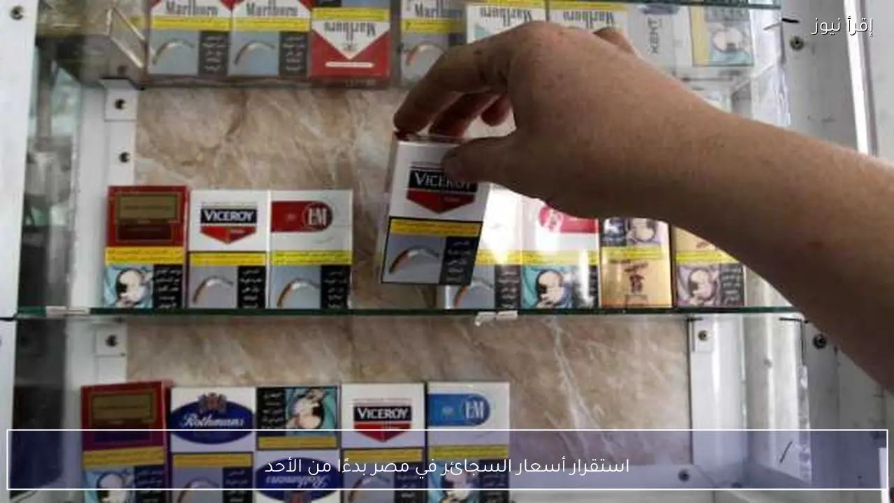 استقرار أسعار السجائر في مصر بدءًا من الأحد