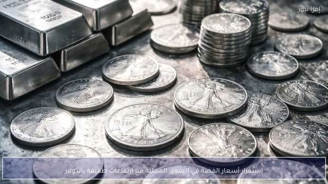 استقرار أسعار الفضة في السوق المحلية مع ارتفاعات طفيفة بالدولار
