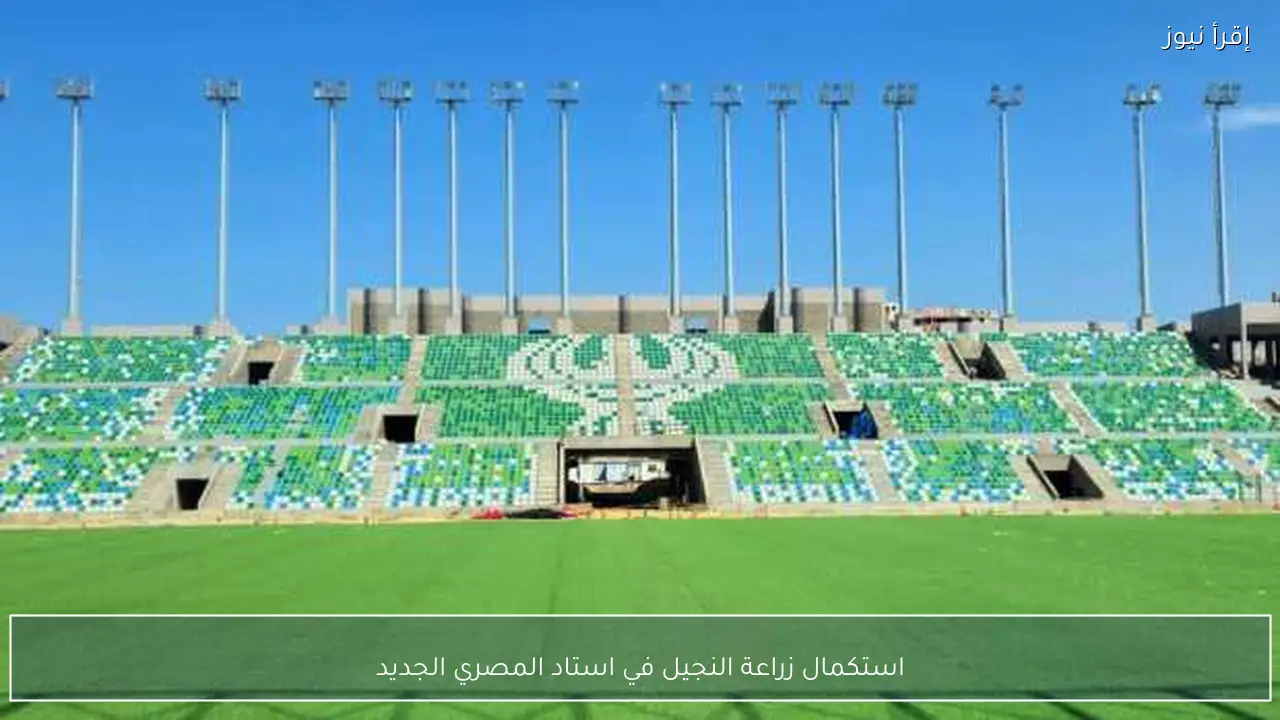استكمال زراعة النجيل في استاد المصري الجديد