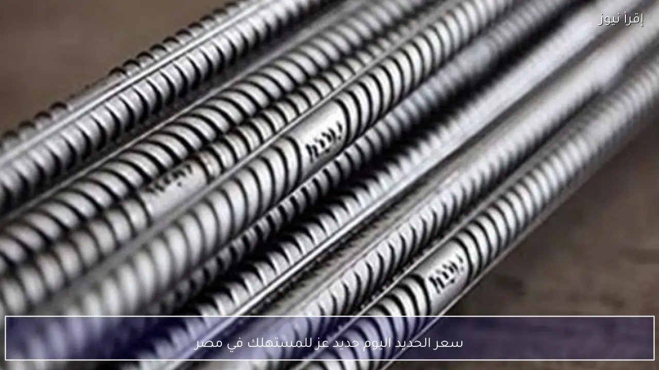سعر الحديد اليوم حديد عز السبت 11 ابريل 2026 للمستهلك في مصر