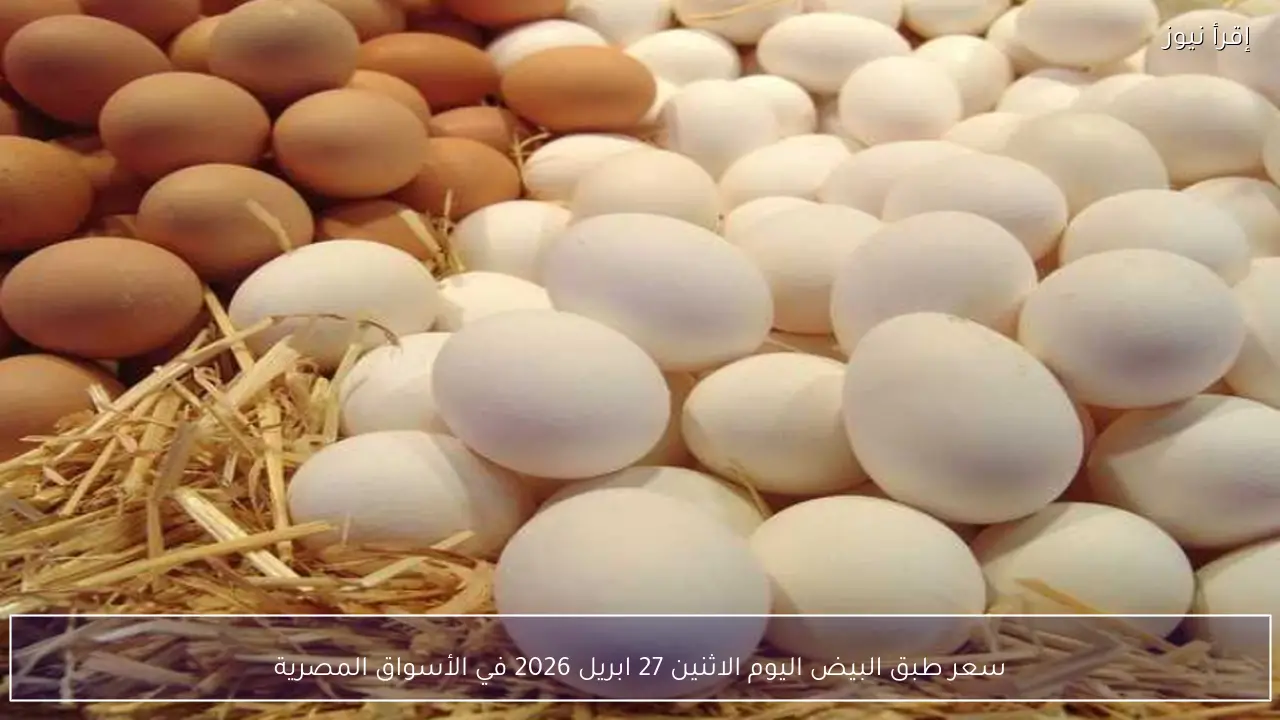 سعر طبق البيض اليوم الاثنين 27 ابريل 2026 في الأسواق المصرية