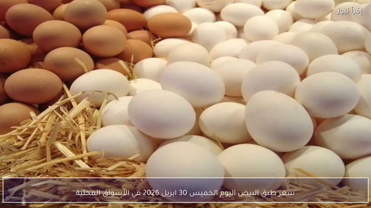 سعر طبق البيض اليوم الخميس 30 ابريل 2026 في الأسواق المحلية