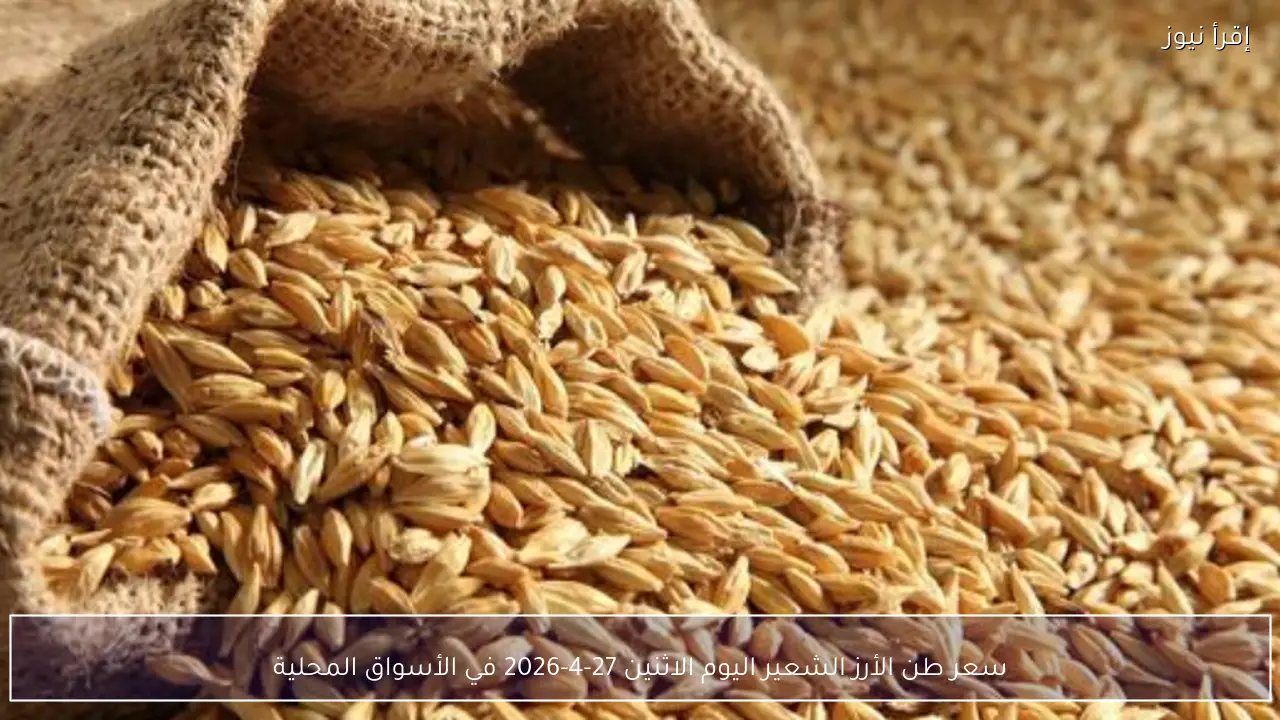 سعر طن الأرز الشعير اليوم الاثنين 27-4-2026 في الأسواق المحلية