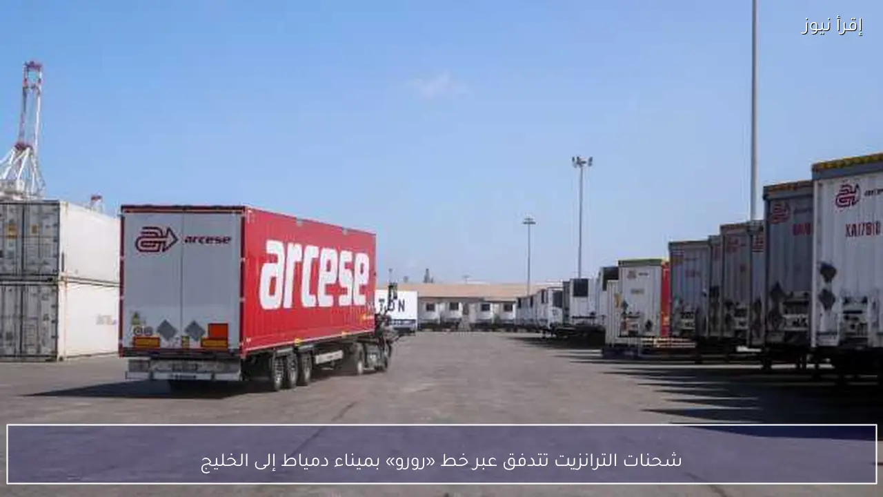 شحنات الترانزيت تتدفق عبر خط «رورو» بميناء دمياط إلى الخليج