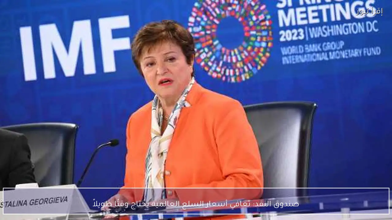 صندوق النقد: تعافي أسعار السلع العالمية يحتاج وقتًا طويلاً