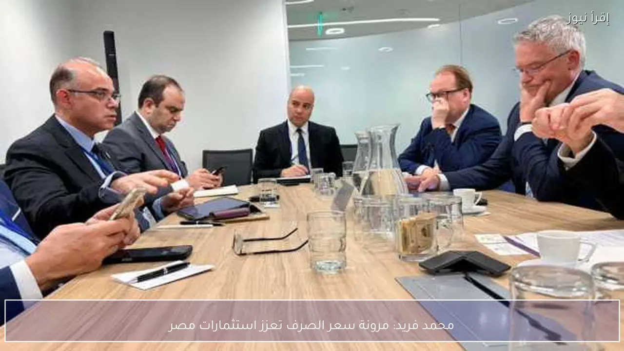 محمد فريد: مرونة سعر الصرف تعزز استثمارات مصر