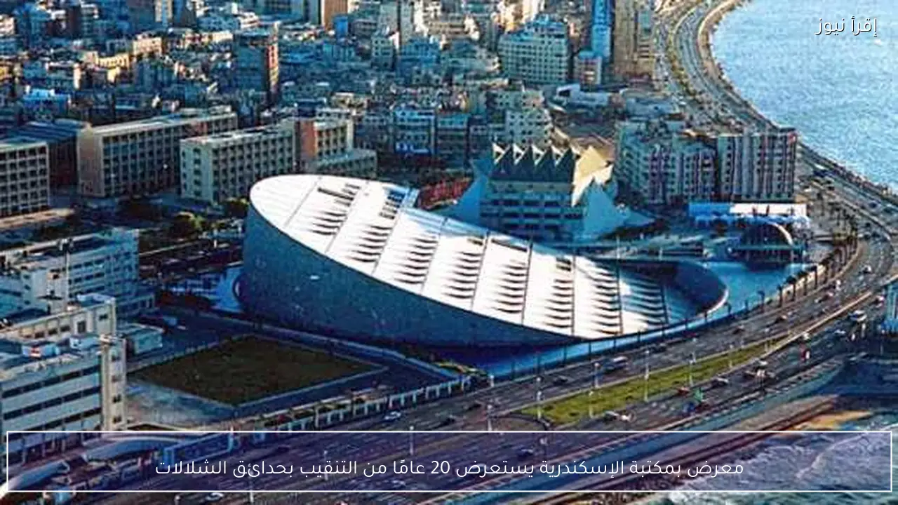 معرض بمكتبة الإسكندرية يستعرض 20 عامًا من التنقيب بحدائق الشلالات