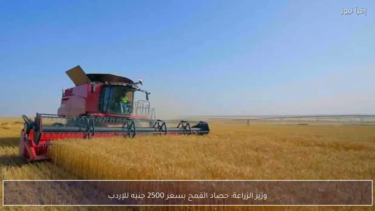 وزير الزراعة: حصاد القمح بسعر 2500 جنيه للإردب