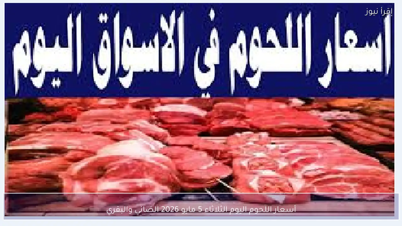 أسعار اللحوم اليوم الثلاثاء 5 مايو 2026 الضاني والبقري