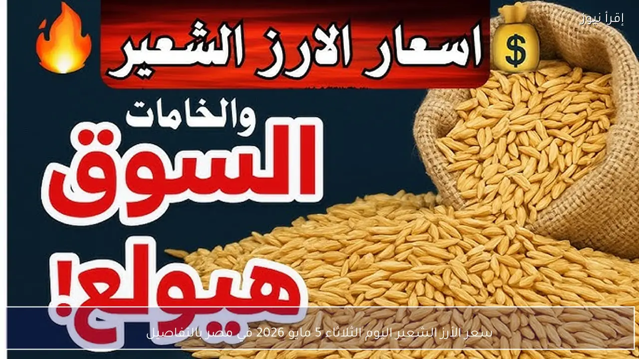 سعر الأرز الشعير اليوم الثلاثاء 5 مايو 2026 في مصر بالتفاصيل