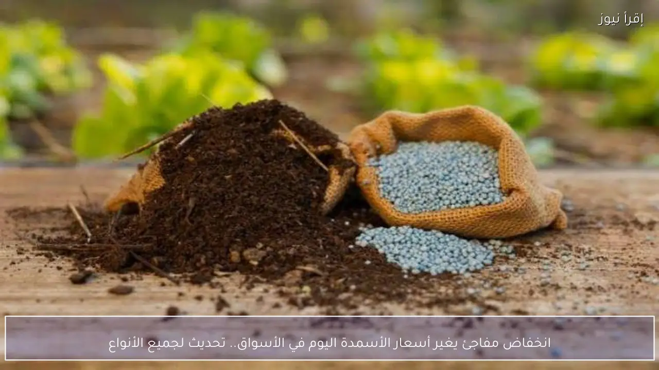 انخفاض مفاجئ يغير أسعار الأسمدة اليوم في الأسواق.. تحديث لجميع الأنواع