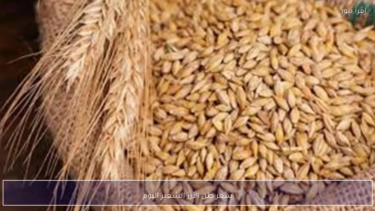 سعر طن الأرز الشعير اليوم السبت 2 مايو 2026 داخل الأسواق المحلية