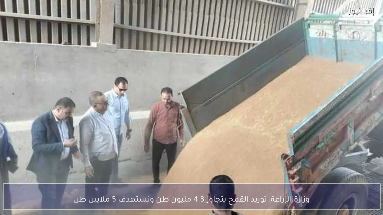 وزارة الزراعة: توريد القمح يتجاوز 4.3 مليون طن ونستهدف 5 ملايين طن