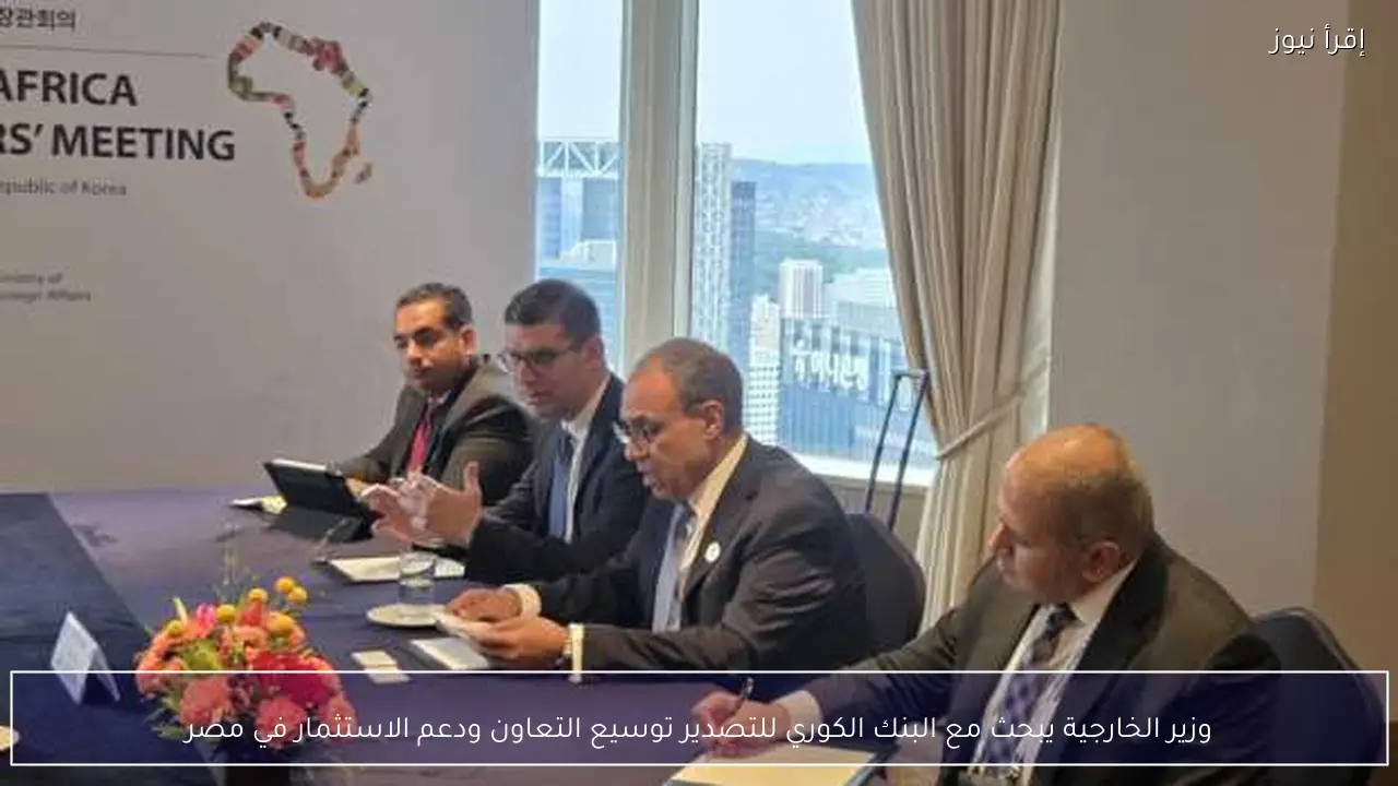 وزير الخارجية يبحث مع البنك الكوري للتصدير توسيع التعاون ودعم الاستثمار في مصر